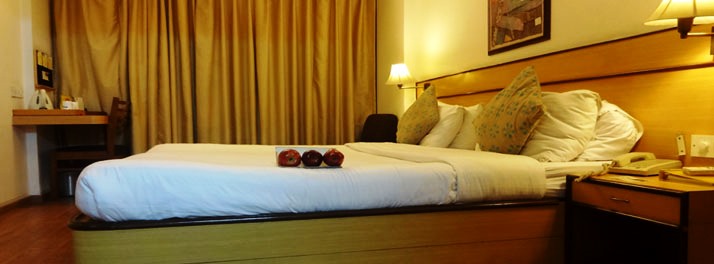 1239/Hotel Swati Deluxe Pusa Road - New Delhi 09.jpg